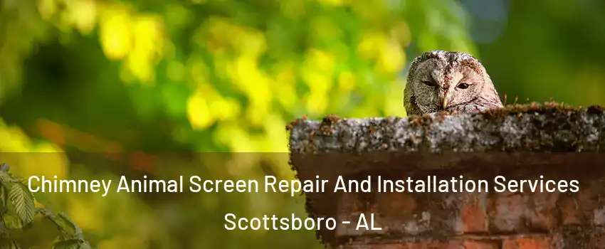 Chimney Animal Screen Repair And Installation Services Scottsboro - AL