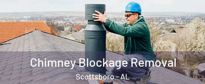  Chimney Blockage Removal Scottsboro - AL