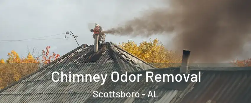  Chimney Odor Removal Scottsboro - AL