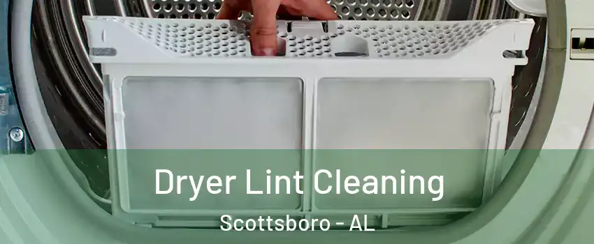  Dryer Lint Cleaning Scottsboro - AL