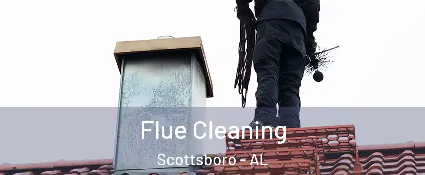  Flue Cleaning Scottsboro - AL