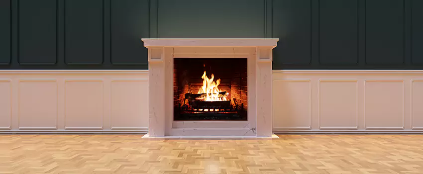 Napoleon Electric Fireplaces Inspection Service in Scottsboro, Alabama