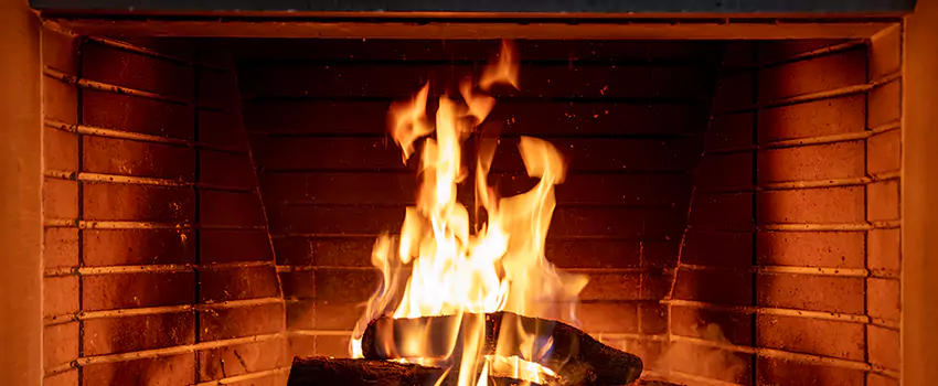 Soot Cleanup Services in Scottsboro, AL