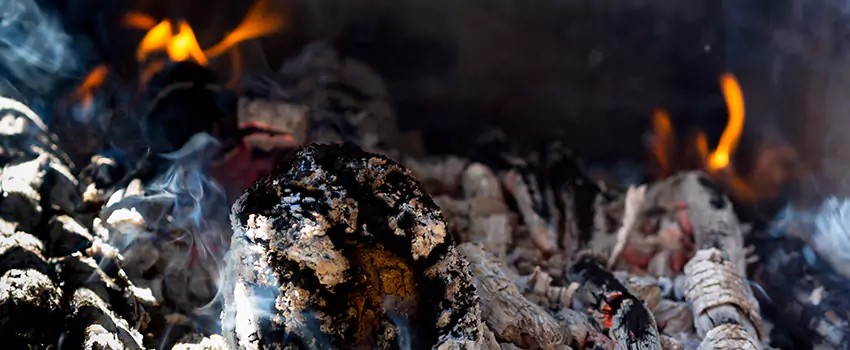 Creosote Removal Experts in Scottsboro, AL