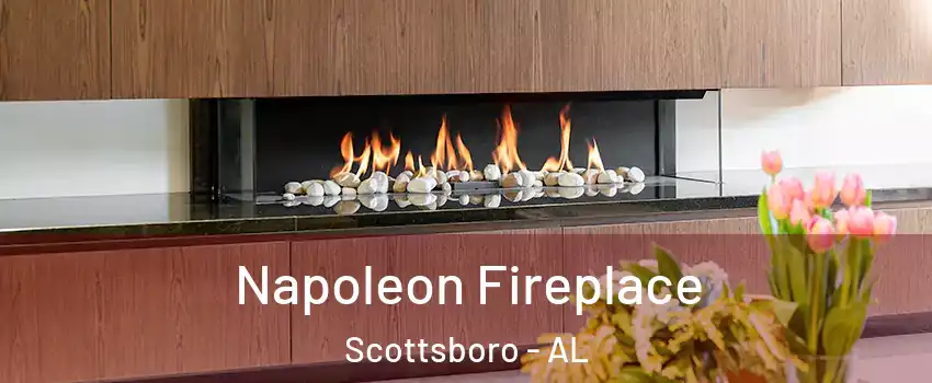  Napoleon Fireplace Scottsboro - AL